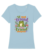 Cute Frog Meme If Not Friend Why Friend Shaped Funny Frog Humor Tricou mânecă scurtă guler larg fitted Damă Expresser