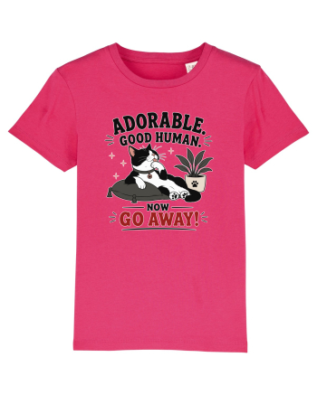 Funny Cat Attitude Design for Cat Owners and Feline Lovers Raspberry