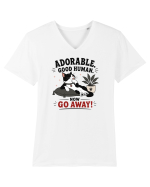 Funny Cat Attitude Design for Cat Owners and Feline Lovers Tricou mânecă scurtă guler V Bărbat Presenter