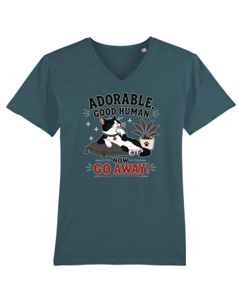 Funny Cat Attitude Design for Cat Owners and Feline Lovers Stargazer