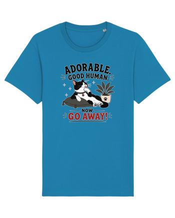 Funny Cat Attitude Design for Cat Owners and Feline Lovers Azur