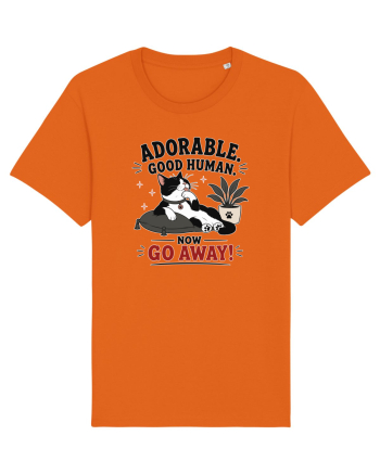 Funny Cat Attitude Design for Cat Owners and Feline Lovers Bright Orange