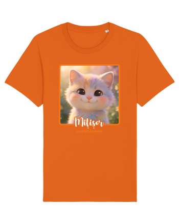 Mițișor - un pisoi pastelat Bright Orange