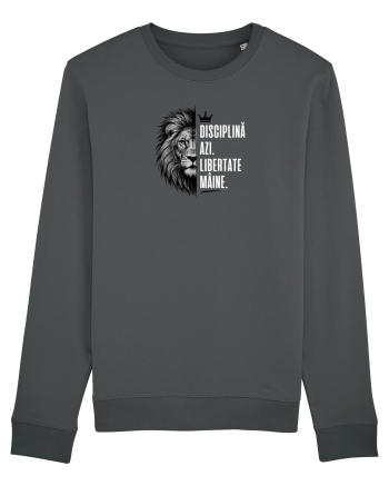 Disciplină azi. Libertate mâine. Anthracite