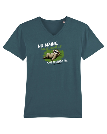 Nu mâine. Poate poimâine. Sau niciodată  Stargazer