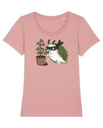 Funny Leaf Sea Slug Plant Thief Cartoon Cute Garden Ocean Animal Canyon Pink