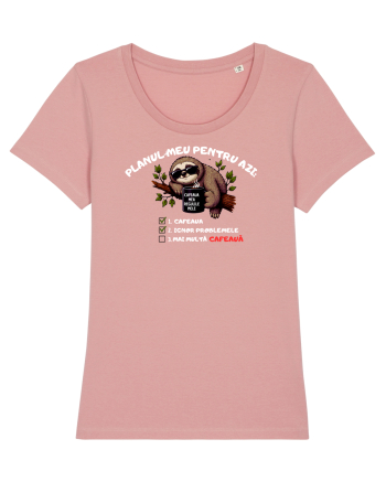 Planul meu pentru azi Canyon Pink