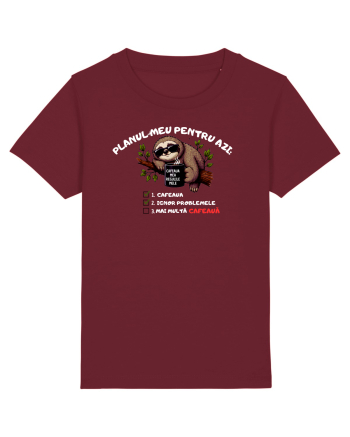 Planul meu pentru azi Burgundy