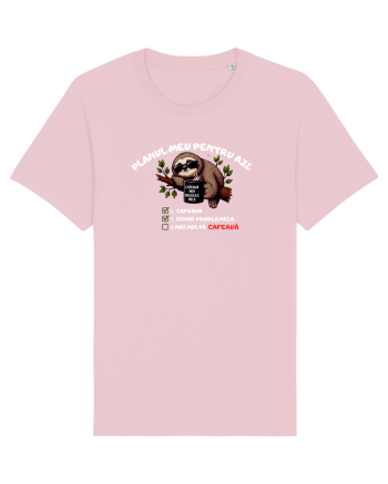 Planul meu pentru azi Cotton Pink