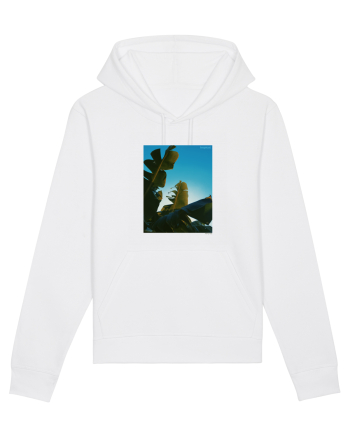 Tropical Therapy no. 6 White