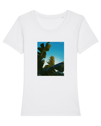 Tropical Therapy no. 6 White
