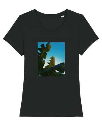 Tropical Therapy no. 6 Black