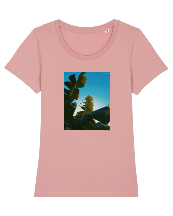 Tropical Therapy no. 6 Canyon Pink