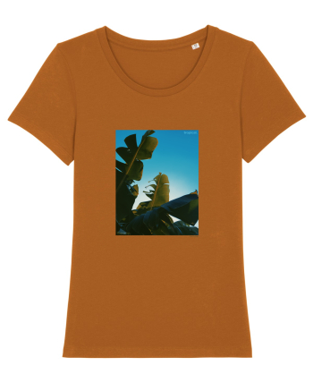 Tropical Therapy no. 6 Roasted Orange