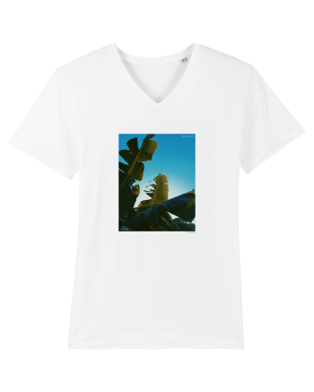 Tropical Therapy no. 6 White