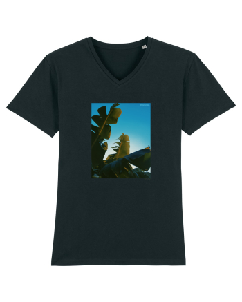 Tropical Therapy no. 6 Black