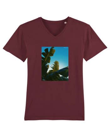Tropical Therapy no. 6 Burgundy