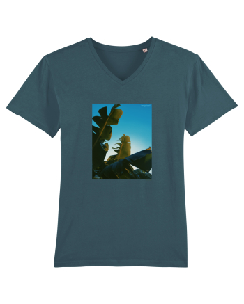 Tropical Therapy no. 6 Stargazer