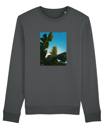 Tropical Therapy no. 6 Anthracite