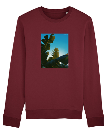 Tropical Therapy no. 6 Burgundy