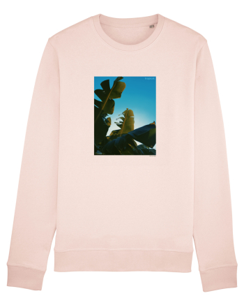 Tropical Therapy no. 6 Candy Pink