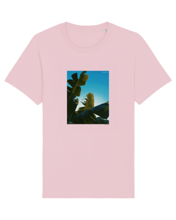 Tropical Therapy no. 6 Cotton Pink