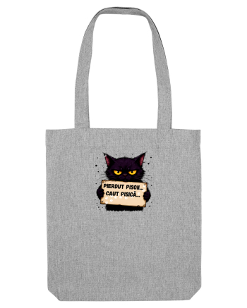 Pierdut pisoi..caut pisică  Heather Grey