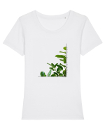 Tropical Therapy no. 8 Tricou mânecă scurtă guler larg fitted Damă Expresser