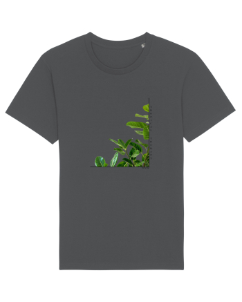 Tropical Therapy no. 8 Anthracite