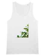 Tropical Therapy no. 8 Maiou Bărbat Runs