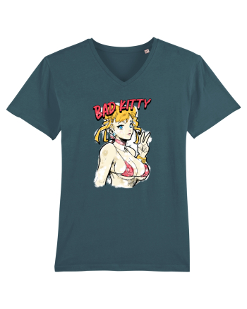Bad kitty Stargazer