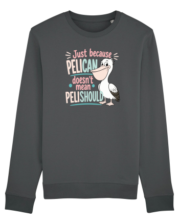 Funny Pelican Pun for Bird Fans Birdwatchers Pelishould Anthracite
