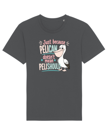 Funny Pelican Pun for Bird Fans Birdwatchers Pelishould Anthracite