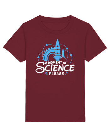 A Moment of Science, Please – Știință și Experimente Burgundy
