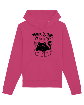 Think Outside the Box? The Cat Said No Raspberry