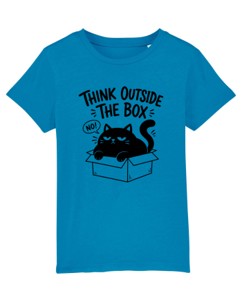 Think Outside the Box? The Cat Said No Azur
