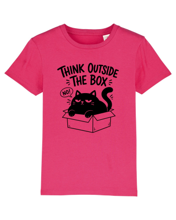 Think Outside the Box? The Cat Said No Raspberry