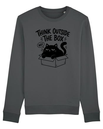 Think Outside the Box? The Cat Said No Anthracite