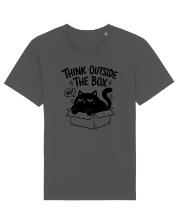 Think Outside the Box? The Cat Said No Anthracite