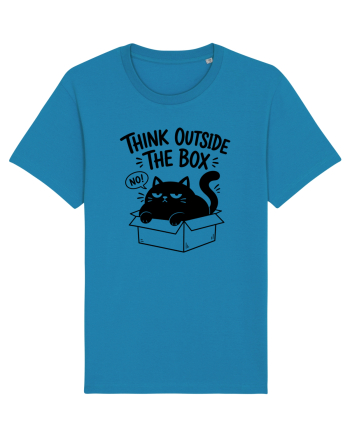 Think Outside the Box? The Cat Said No Azur