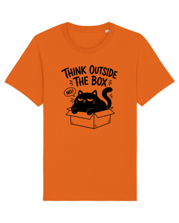 Think Outside the Box? The Cat Said No Bright Orange