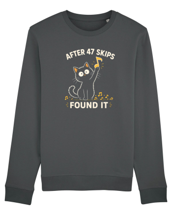 After 47 Skips – Found It Anthracite