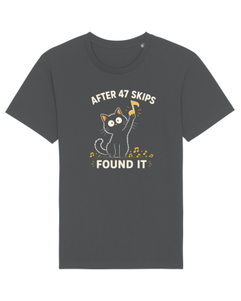 After 47 Skips – Found It Anthracite