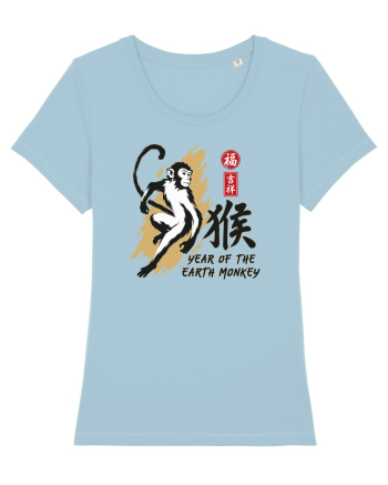 Year of the Monkey Chinese Zodiac Earth Monkey Lunar New Sky Blue