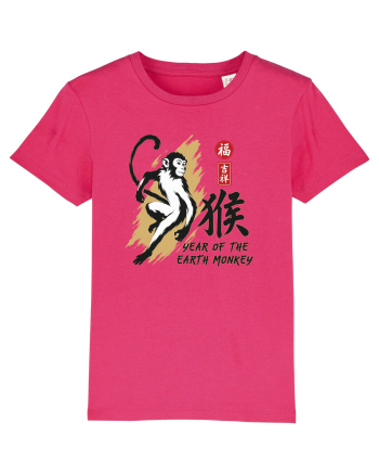 Year of the Monkey Chinese Zodiac Earth Monkey Lunar New Raspberry