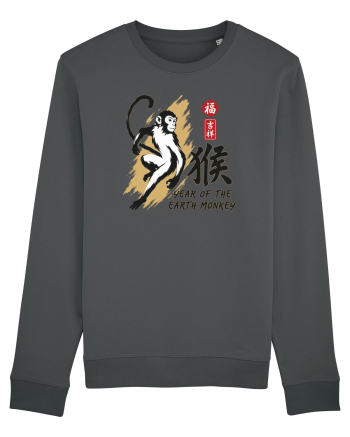 Year of the Monkey Chinese Zodiac Earth Monkey Lunar New Anthracite