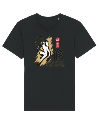 Year of the Monkey Chinese Zodiac Earth Monkey Lunar New Black