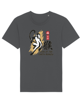 Year of the Monkey Chinese Zodiac Earth Monkey Lunar New Anthracite