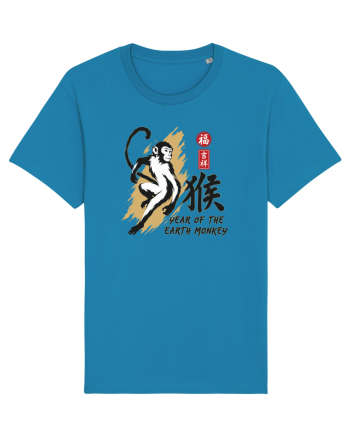 Year of the Monkey Chinese Zodiac Earth Monkey Lunar New Azur