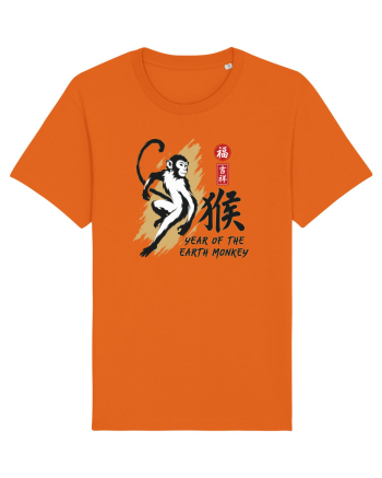 Year of the Monkey Chinese Zodiac Earth Monkey Lunar New Bright Orange